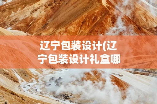 辽宁包装设计(辽宁包装设计礼盒哪家好)