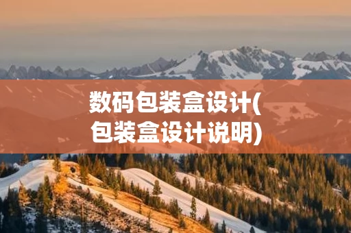 数码包装盒设计(包装盒设计说明)