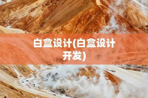白盒设计(白盒设计开发)