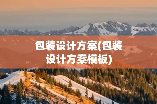 包装设计方案(包装设计方案模板)