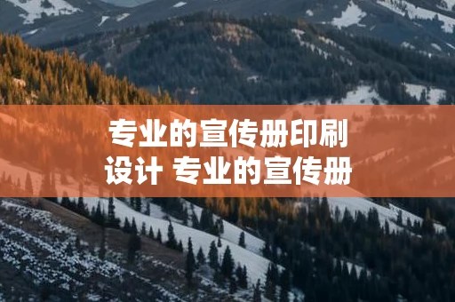 专业的宣传册印刷设计 专业的宣传册印刷设计价格