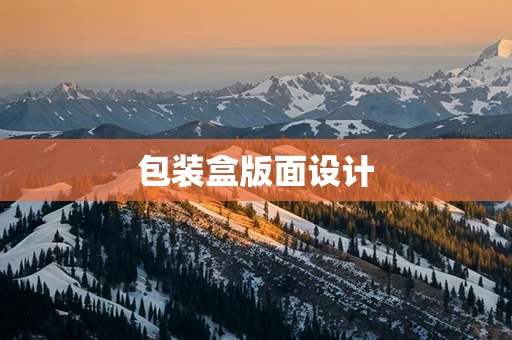 包装盒版面设计