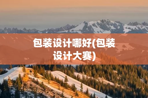 包装设计哪好(包装设计大赛)
