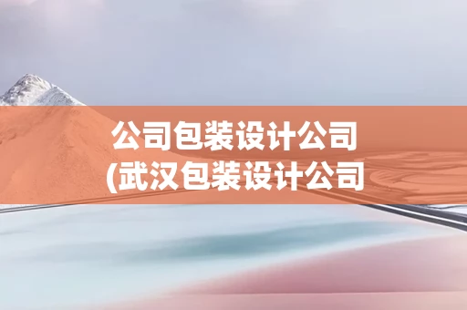 公司包装设计公司(武汉包装设计公司)