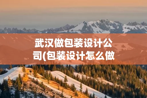 武汉做包装设计公司(包装设计怎么做)