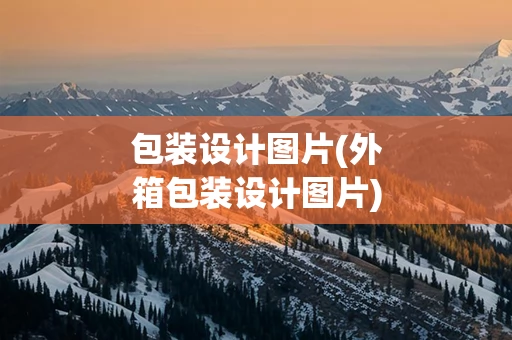 包装设计图片(外箱包装设计图片)