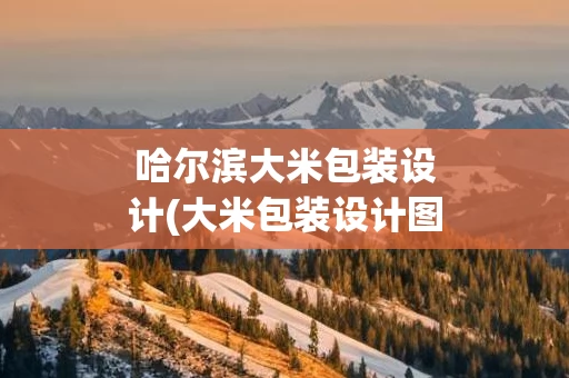 哈尔滨大米包装设计(大米包装设计图)
