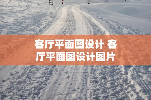 客厅平面图设计 客厅平面图设计图片