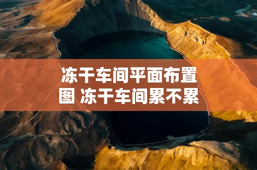 冻干车间平面布置图 冻干车间累不累
