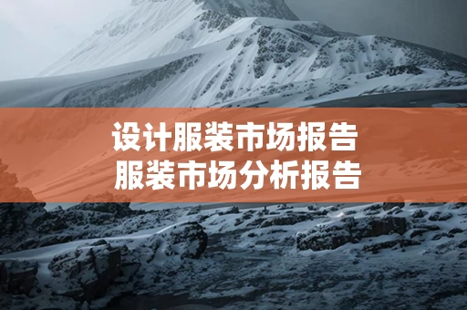 设计服装市场报告 服装市场分析报告