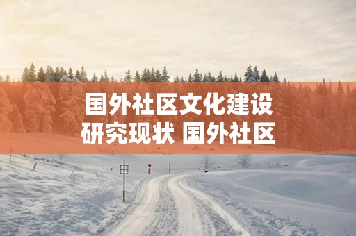 国外社区文化建设研究现状 国外社区发展的现状